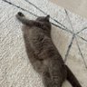 Aytaç 的头像