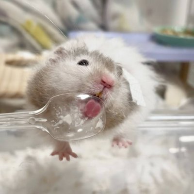 posyqgqnybscp's profile picture