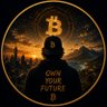 HODLNaut's profile picture