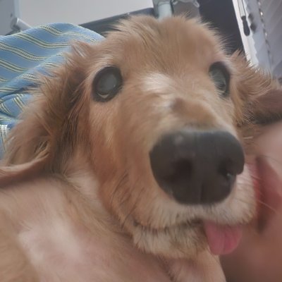 UDILOVE1's profile picture