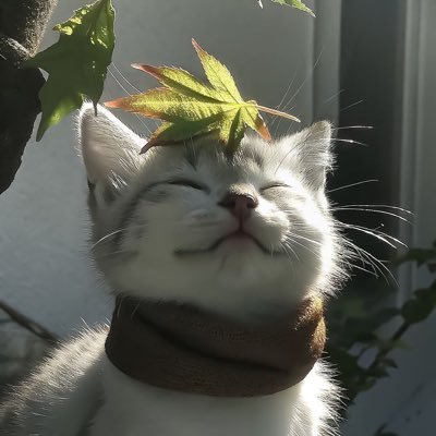 famexbt's profile picture