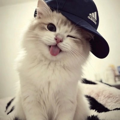 Jin woo's profile picture