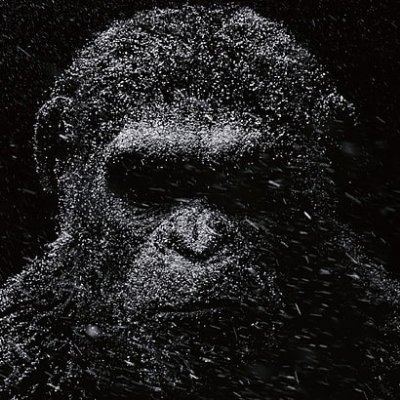 Mr Infinity's profile picture