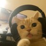 sakura's profile picture