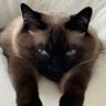ติ่งไปวันวัน #รักเค้าล์'s profile picture