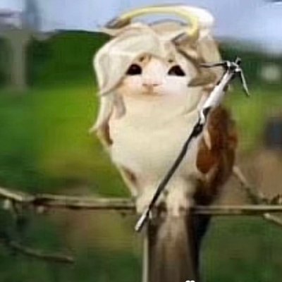 aoasty's profile picture