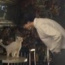 近藤 怜央's profile picture