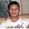 Bara Daut's profile picture