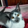 Profilbild von Mamang sia