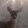𝙴𝚕𝚕𝚊 ᴱᵈᵗʷᵗ's profile picture