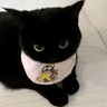 linxi profil fotoğrafı