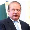 Hamad Hussain's profile picture