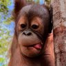 Crystal 🦧 profil fotoğrafı