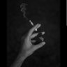 Profilbild von ◉ WILLY™