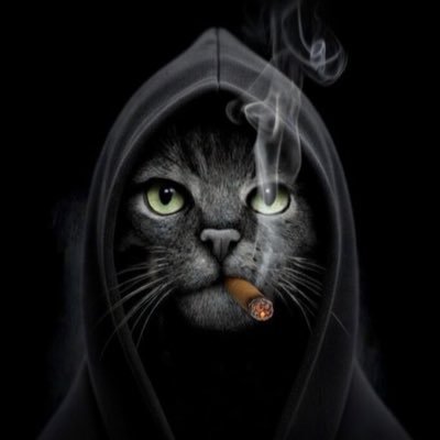 ogzhtn's profile picture