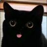 *blep*'s profile picture