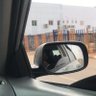 Aleeyu speaks🇳🇬💎 profil fotoğrafı