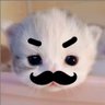 Tt profil fotoğrafı