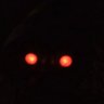 TheNightReaper's profile picture