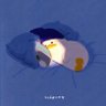 ラテ☕'s profile picture