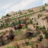 Фото профиля فحل تعز واب