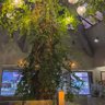green light's profile picture
