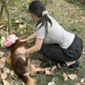 Búp Bê Nhật profil fotoğrafı