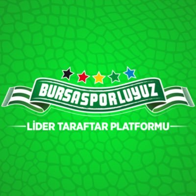 bursasporluyuz's profile picture