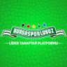 Profilbild von Bursasporluyuz.org