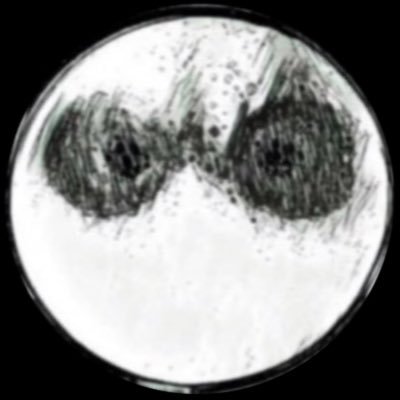 Rigsector's profile picture