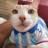 Ivan's profile picture