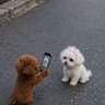 I am zuky 的头像