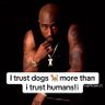 2pac 的头像