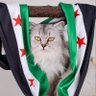 MAHMOUD🇸🇾|محمود's profile picture