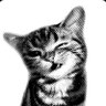 Profilbild von cj