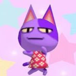 bz80q's profile picture