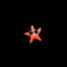 Profilbild von JO 📸 💻
