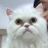 ชื่อถุงแต่แม่เรียกถลุง 的头像
