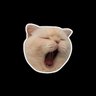 Jace's profile picture