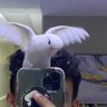 Mohammed Hamdan's profile picture