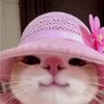 zuraaaa. profil fotoğrafı