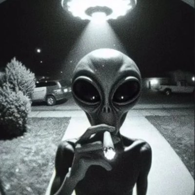al1enr00t's profile picture