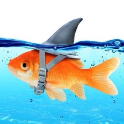 puna's profile picture