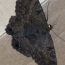 Фото профиля สายลมเย็นชา สายตาชาเย็น