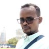 Alfateih Alabaid Tifour profil fotoğrafı