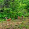 Фото профиля Mohan Kumar