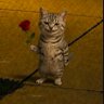 Madly's profile picture