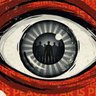 Orwell Day's profile picture