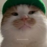 JackBruno's profile picture