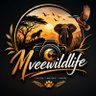 Profilbild von Mvee Wildlife